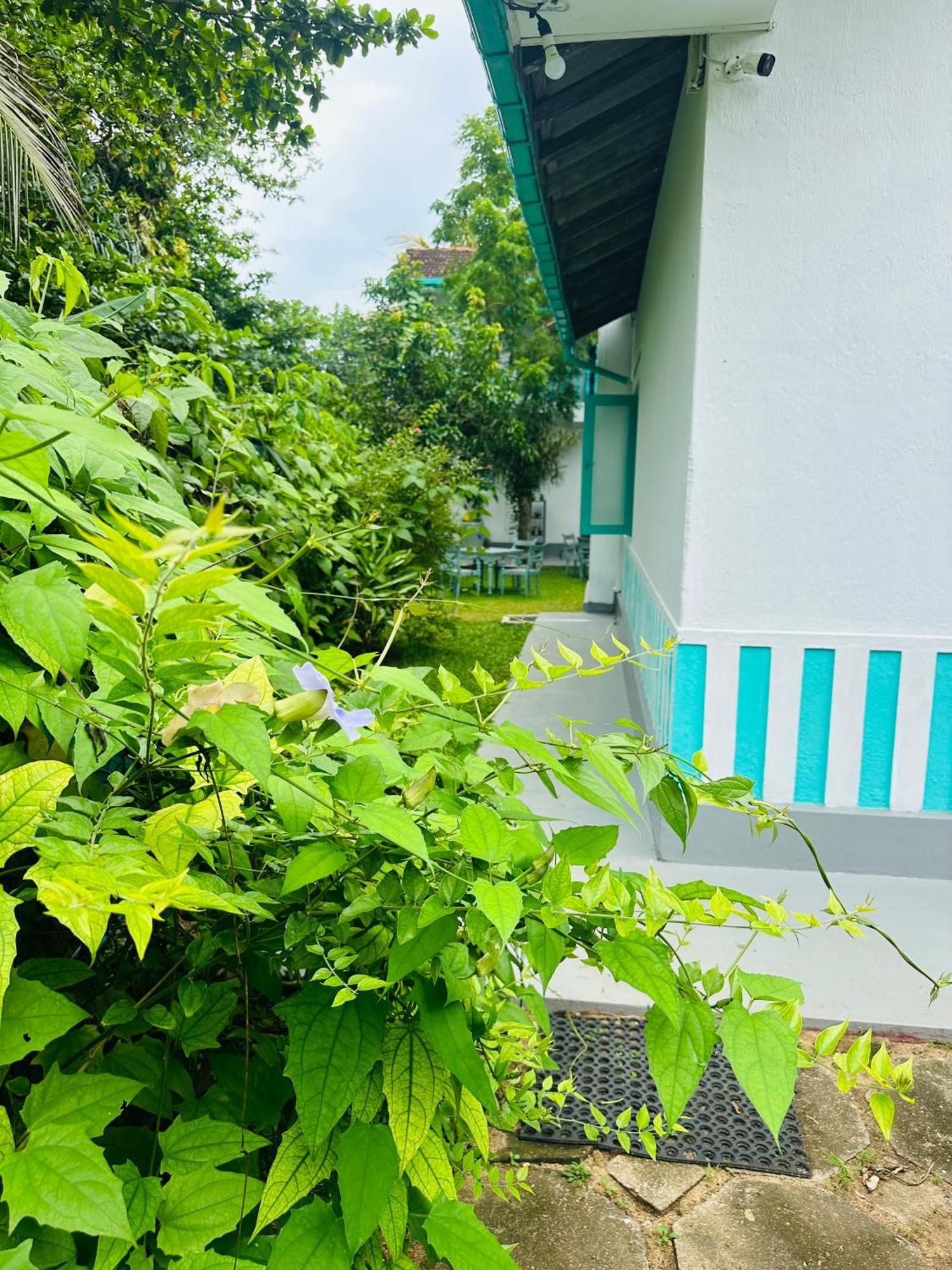 Villa 47 Hikkaduwa Eksteriør bilde